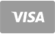 Mega Dice Visa